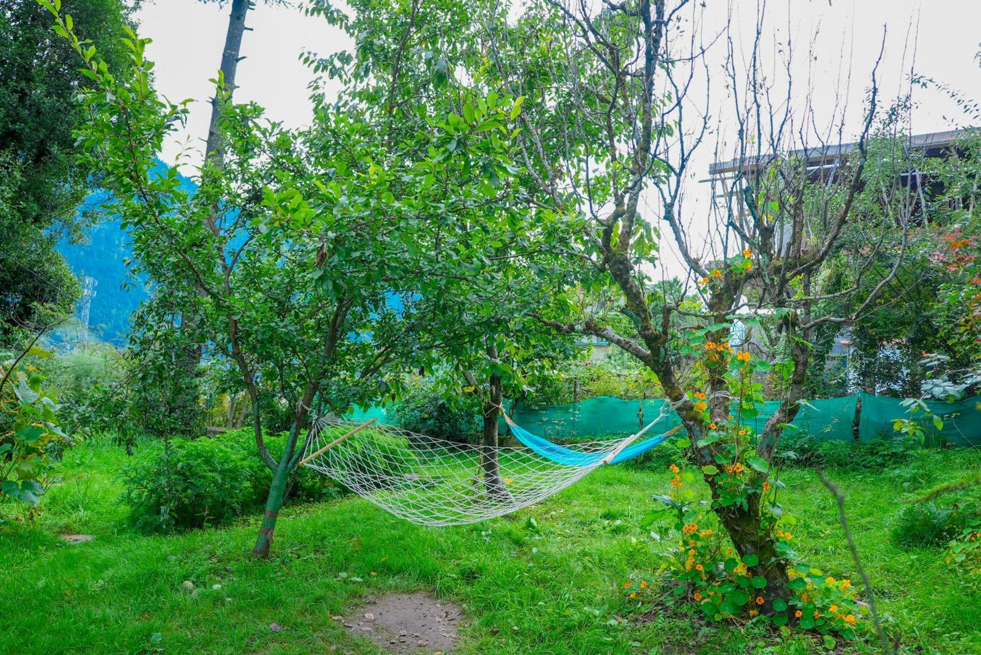 The Manu Emerald # Farmhouse # Top Selling Cottage In Manali # Peaceful Heritage Cozy Stay # Lawn With Bonfire # Most Awarded Exterior foto